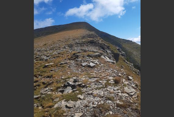7 Crête sommitale du Mont Bertrand  - Image en taille réelle, .JPG 824Ko fenêtre modale