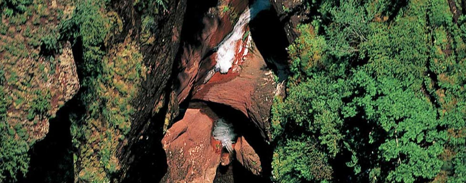 clue-du-raton-randoxyg-ne