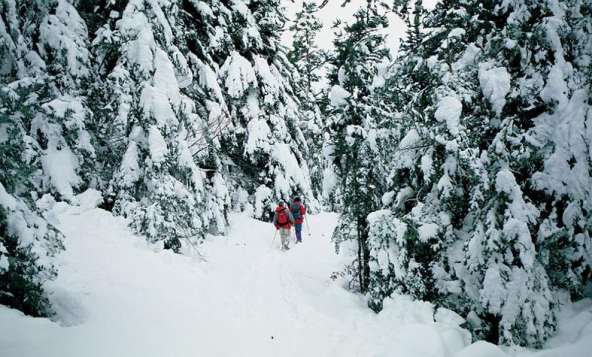 Infos pratiques raquettes à neige