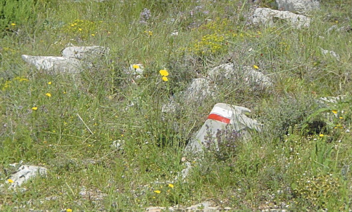 Itinéraires de grande randonnée