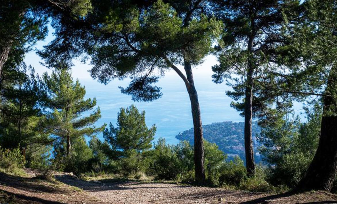 Parc du Cros de Casté