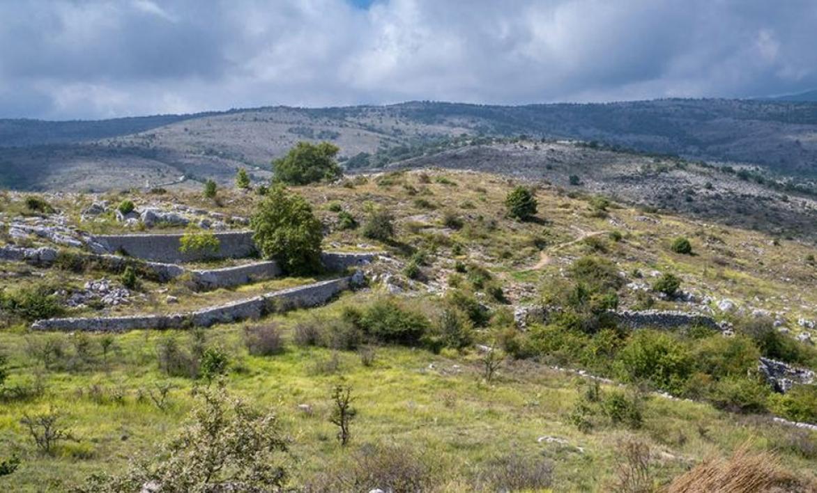 Parc du Plan des Noves