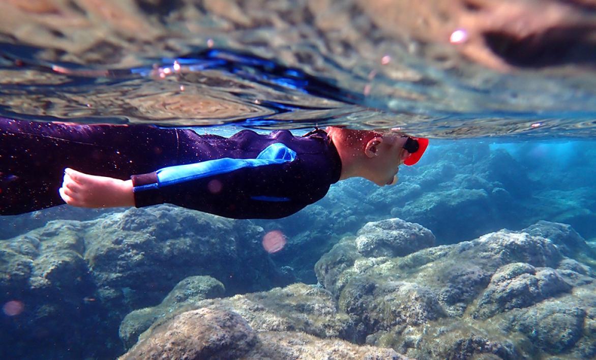 Plongée sous-marine et snorkeling