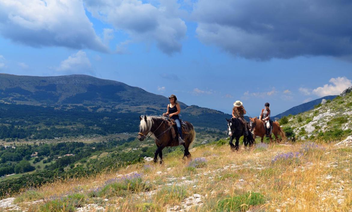 Randonnées à cheval