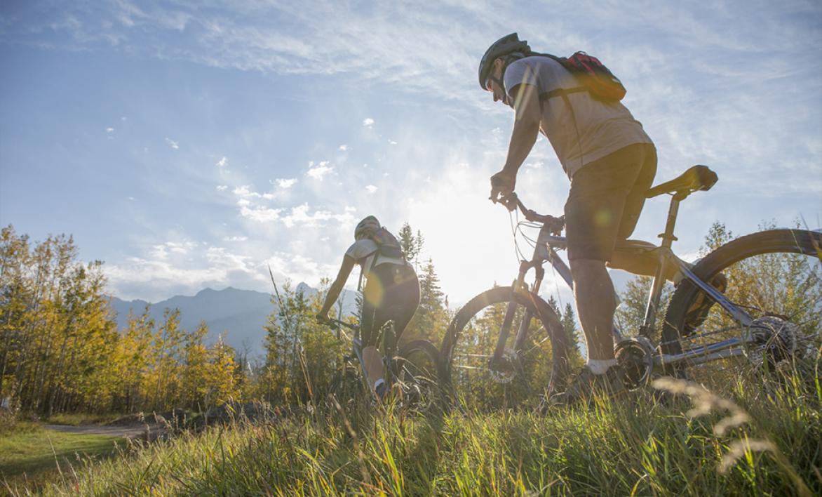 Recommandation de Pratique