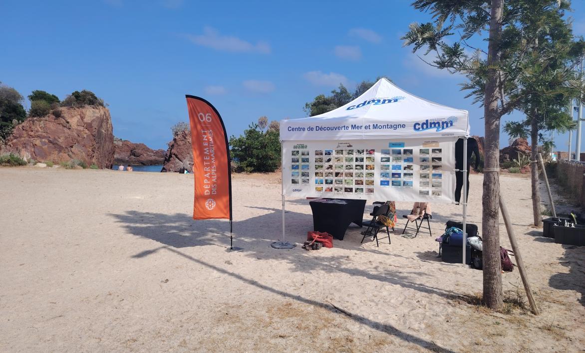 Stand Figueirette - 2026