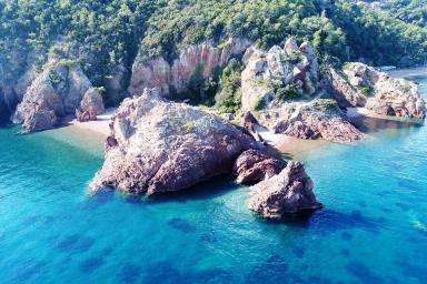 Flore littorale - Pointe de l'Aiguille