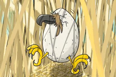 Oeufs - Rives du Loup