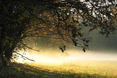 Indices - Vaugrenier