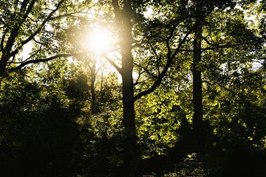 Soleil, l’énergie de la vie - Vaugrenier