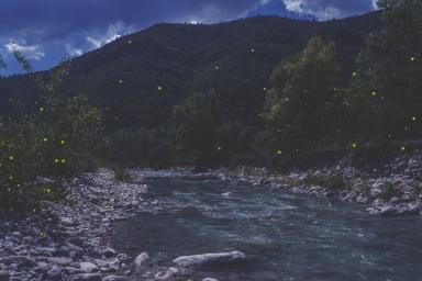 Soirée nature - Estéron