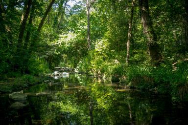 Frontières - Estéron