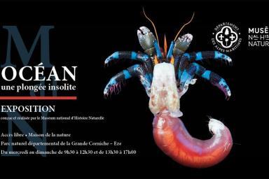 Expo Océan - Une plongée insolite
