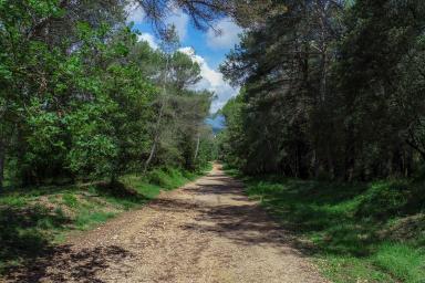 Contes, légendes et expériences en forêt