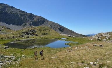Pédestre - Agrandir l'image, fenêtre modale