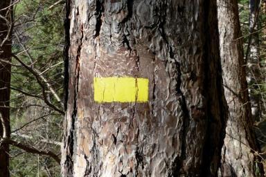 Un balisage au sol sécurisant - Agrandir l'image, fenêtre modale