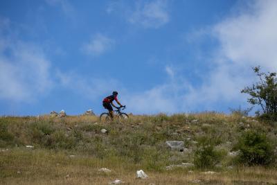 Cols Connectés 06 - Col des Champs 2025 - Agrandir l'image 102 sur 133, fenêtre modale