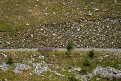 Cols Connectés 06 - Col des Champs 2025 - Agrandir l'image 103 sur 133, fenêtre modale