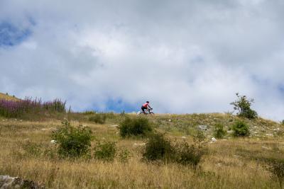 Cols Connectés 06 - Col des Champs 2025 - Agrandir l'image 112 sur 133, fenêtre modale