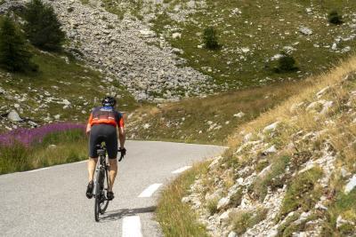 Cols Connectés 06 - Col des Champs 2025 - Agrandir l'image 114 sur 133, fenêtre modale