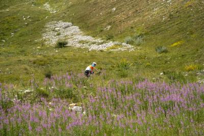Cols Connectés 06 - Col des Champs 2025 - Agrandir l'image 116 sur 133, fenêtre modale