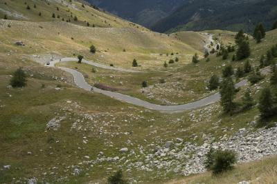 Cols Connectés 06 - Col des Champs 2025 - Agrandir l'image 117 sur 133, fenêtre modale