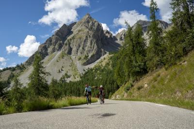 Cols Connectés 06 - Col des Champs 2025 - Agrandir l'image 92 sur 133, fenêtre modale