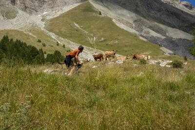 Cols Connectés 06 - Col des Champs 2025 - Agrandir l'image 62 sur 133, fenêtre modale