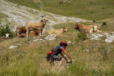 Cols Connectés 06 - Col des Champs 2025 - Agrandir l'image 67 sur 133, fenêtre modale