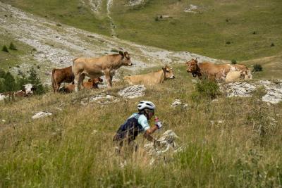 Cols Connectés 06 - Col des Champs 2025 - Agrandir l'image 68 sur 133, fenêtre modale