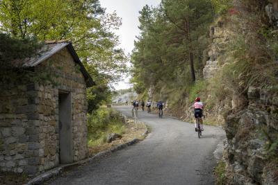 Cols Connectés 06 - Col de la Madone 2025 - Agrandir l'image 121 sur 136, fenêtre modale