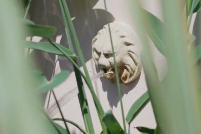 Les jardins de la Côte d’azur et la Riviera Italienne - DOMAINE SAINT-JACQUES DU COULOUBRIER - Lire la vidéo 1 sur 8, fenêtre modale