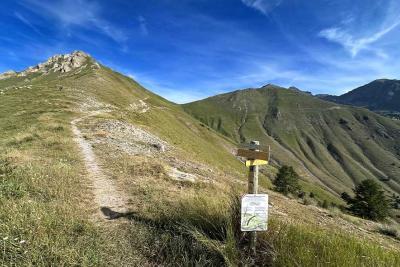 Agrandir l'image 3 sur 10, fenêtre modale