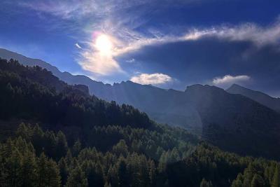 ambiance matinale - Agrandir l'image 6 sur 10, fenêtre modale