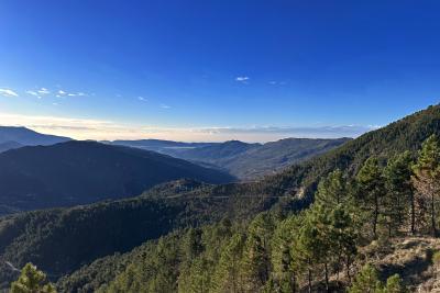 Ambiance méridionale dans la montée - Agrandir l'image 4 sur 10, fenêtre modale