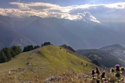 crête sommitale - Agrandir l'image 10 sur 10, fenêtre modale