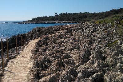 Agrandir l'image 2 sur 8, fenêtre modale