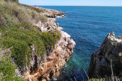 Agrandir l'image 5 sur 8, fenêtre modale