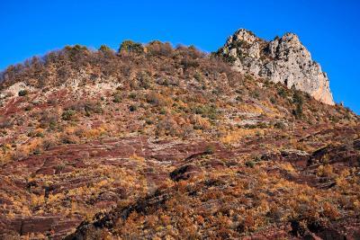 Gorges de Daluis sommet - Agrandir l'image 6 sur 8, fenêtre modale
