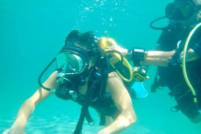 Handi Sub - Agrandir l'image 2 sur 2, fenêtre modale