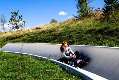 Luge d'été - Valberg - Agrandir l'image 3 sur 4, fenêtre modale