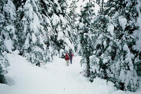 Infos pratiques raquettes à neige