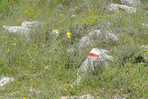 Itinéraires de grande randonnée