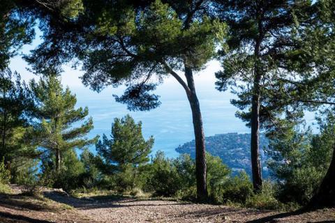 Parc du Cros de Casté