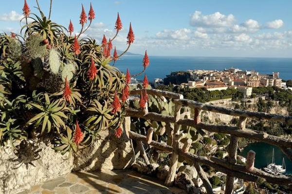 Jardins de la Côte d'Azur - Jardin Exotique