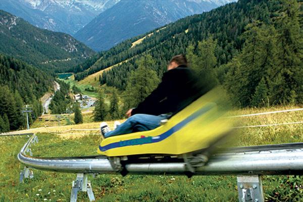Luge d'été