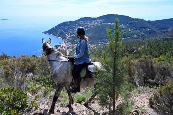 Randonnées à cheval
