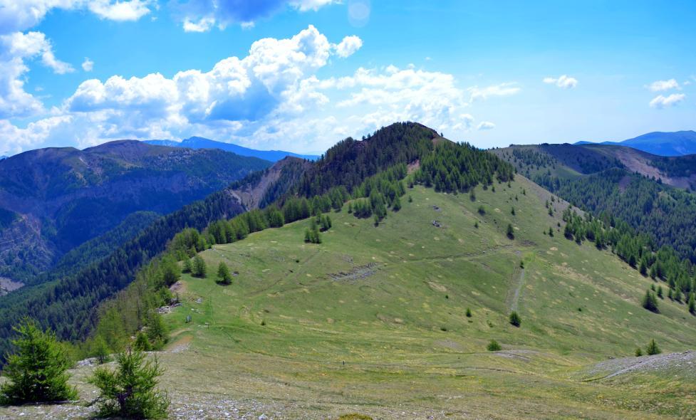 Agrandir l'image, fenêtre modale