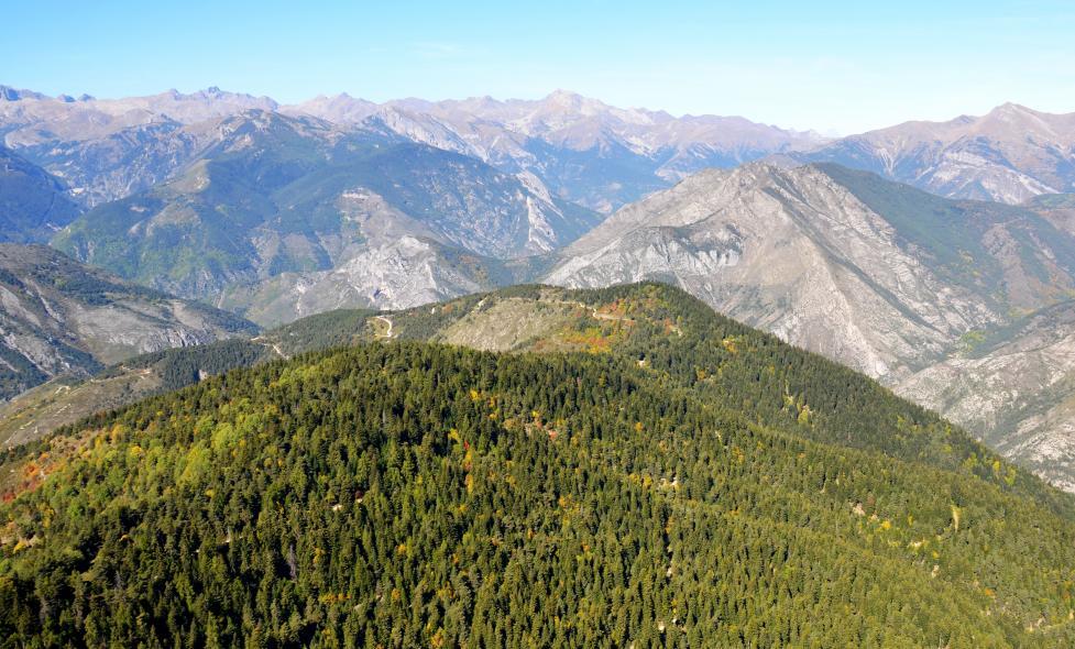 Agrandir l'image, fenêtre modale