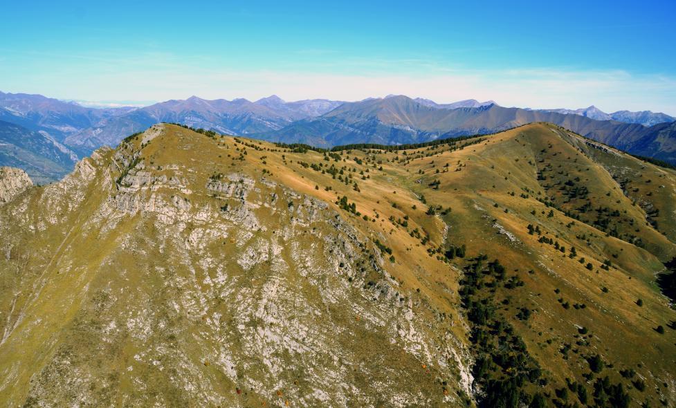 Agrandir l'image, fenêtre modale